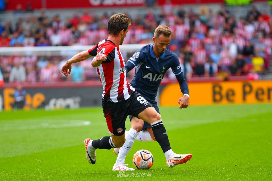 张玉宁的崛 张玉宁的崛